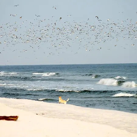 White Pearl 2.03 Apartment Timmendorfer Strand