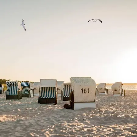 Apartment White Pearl 2.03 *