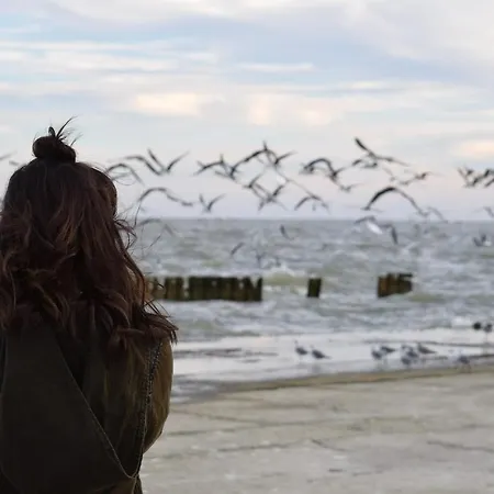 Apartment White Pearl 2.03 *