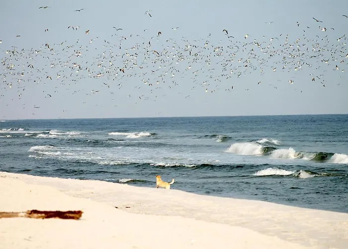 White Pearl 2.03 Apartment Timmendorfer Strand