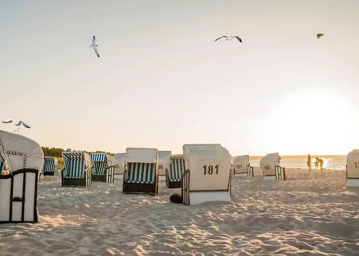 Apartment White Pearl 2.03 *