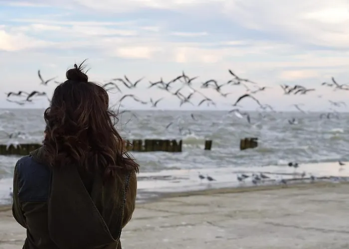 Apartment White Pearl 2.03 *